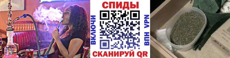 как найти закладки  Белая Холуница  мориарти Telegram  Бутират оксана 