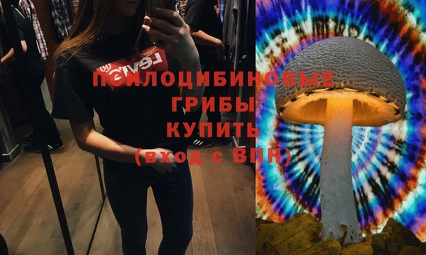 первитин Балахна