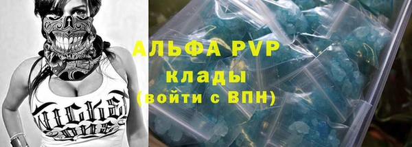 PSILOCYBIN Балабаново
